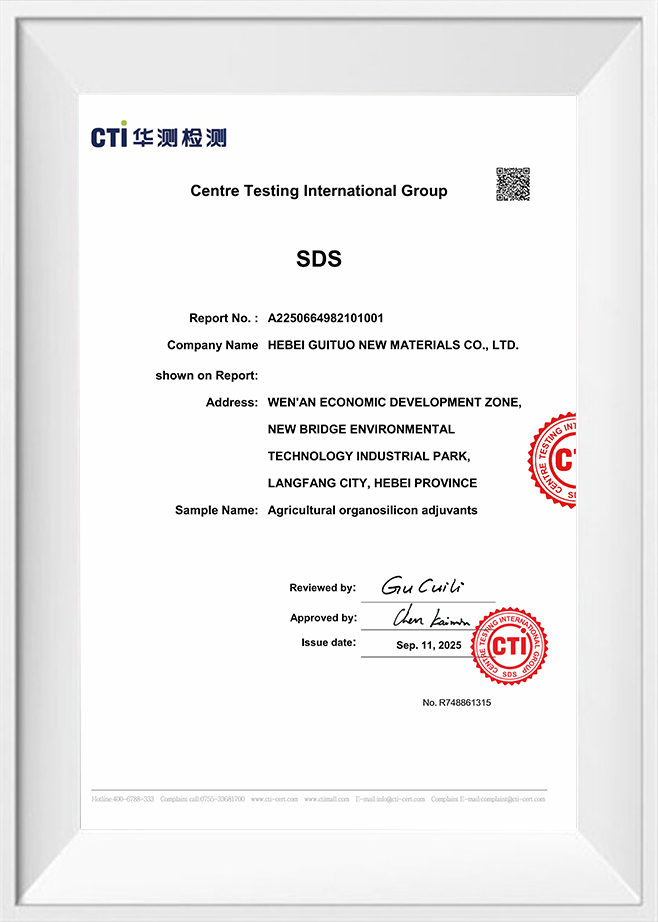 Grupo Internacional de Testes Centrais